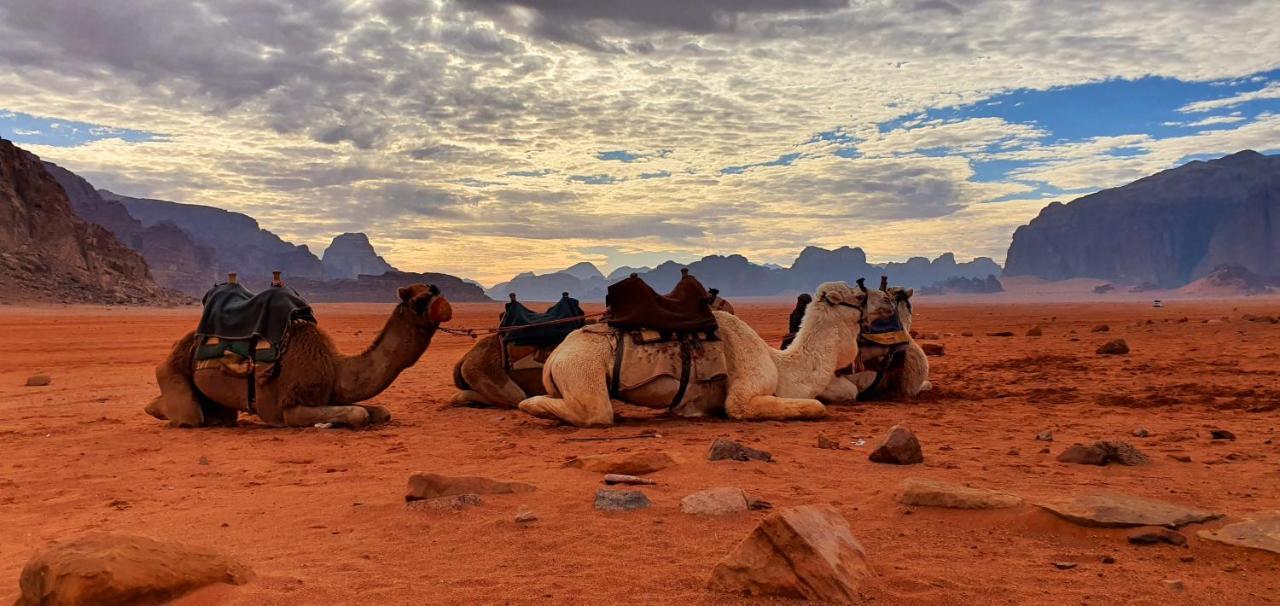 Memories Aicha Luxury Camp Hotel Wadi Rum Exterior photo